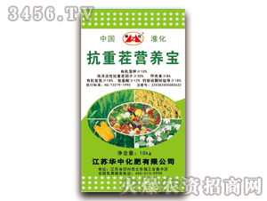 �A��-����-���ز�I(y��ng)�B(y��ng)��