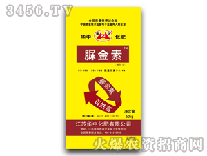 �A��-����-50kg�����