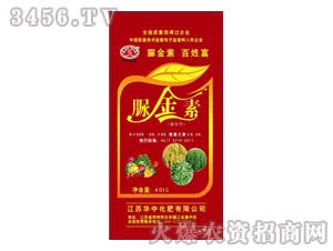 �A��-����-40kg�����