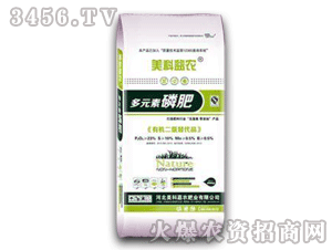 ���Ƽ��r-��Ԫ���׷�