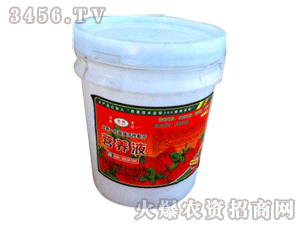 ���Ƽ��r-�ꕟ�I�B(y��ng)Һ