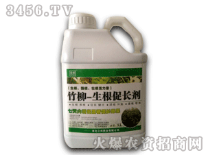 ��ʘI(y��)-����-�������L��