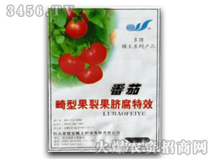 �G��-���ѻ��͹��ѹ�Ě����Ч