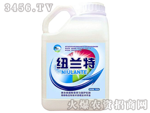 �����I�B(y��ng)-�~�m��