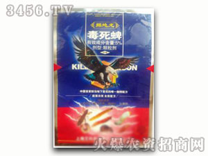 ������-�����