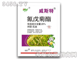 20%�������-��˹��