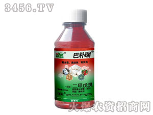 33%�������`-�͘���