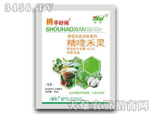 10.0%��୺��`-���ֺ��e