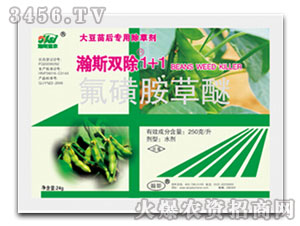 250��/�����ǰ�����+��୺��`-�˹�p��1+1