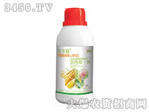 42%������ݬ-���S�o