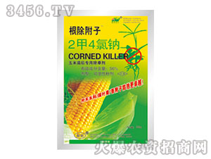 56%2��4���c-��������