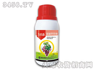 10%���Ѽ׭h(hu��n)��-������