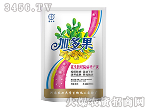 ��������һ��ˎ-�Ӷ�� 