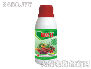 ��Ȼ�t��ֲ���{(di��o)��(ji��)����-�����r(n��ng)��