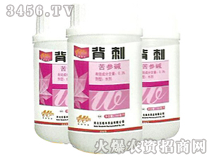 �����A-����-�ֵ��S