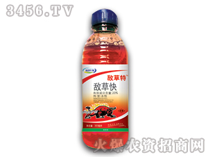 20%���ݿ�-������-��������