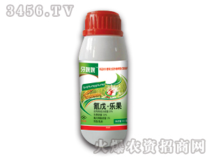 25%���옷��-������-��������