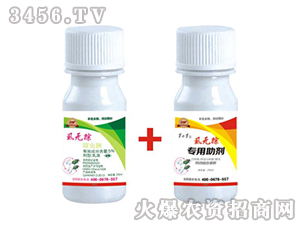 ʭ�o(w��)ۙ-�����r(n��ng)�I(y��)