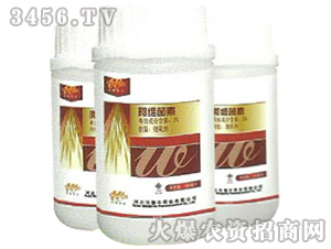 ���S����-�M�m��-�ֵ��S