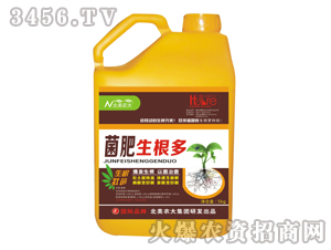 ���������ࣨ�_ʩ�ʣ�-�����r��