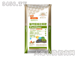 ���ȩ����ጷ�24-12-12-����