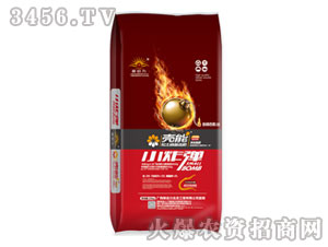 ������������׷��-Сը��-����