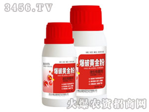 ΢�������-�����S���-ɳ¡�_(d��)