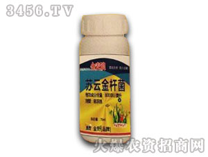 ���x��-�K�ƽ�U��-������-�����r(n��ng)ˎ