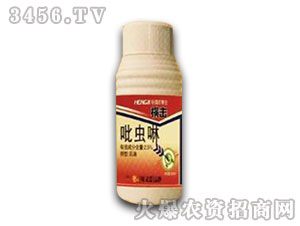 ���x��-�M��-�����r(n��ng)ˎ