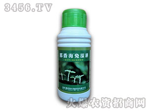 ���㺣�����-���㺣