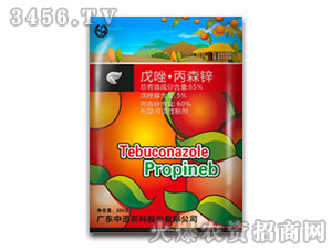 200g�����ɭ�\������-��Ѹ