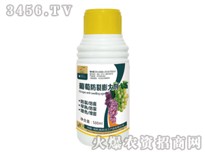 ���ѷ������-�������