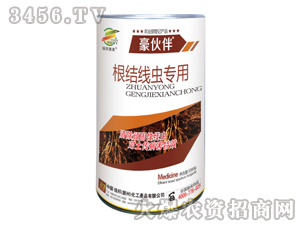 �����x����-�����-�������