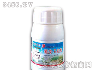 20%�����R����-�����r(n��ng)ˎ