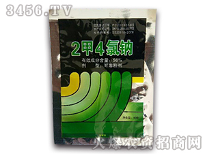 56%2��4���c�����b��-�����r(n��ng)ˎ