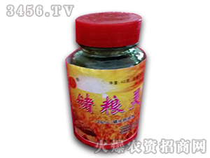 ���x(ch��ng)��-��(ch��)���`-�����r(n��ng)ˎ