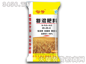 �ͻ����20-20-6-��̖