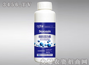 ��������ˮ�ܷ���-����������-ؐ����-��᷾G��