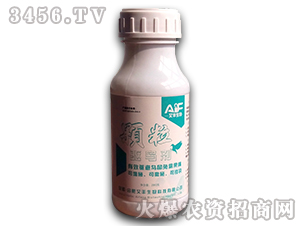 �w���(q��)�B(ni��o)��-���S