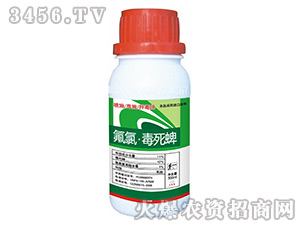 11%���ȶ�����-���Ԫ