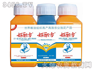 �~���-���䷽-���Ԫ