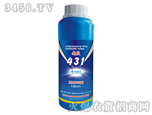 �~���-����431-���Ԫ