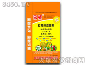 ��ጓ������28-6-6-���D