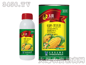 23%���ס�ݬȥ��-��g-���{(l��n)�r(n��ng)ˎ