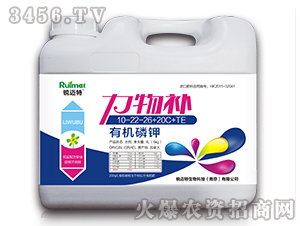 �ЙC(j��)���10-22-26+20C+TE-�����a(b��)-�J�~��