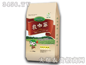 �_ʩ��-�r(n��ng)����-��ǧ��