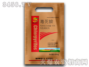 15%�������w����-�������