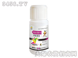 �����߲�˪ù�����Ú�����-��������-�������