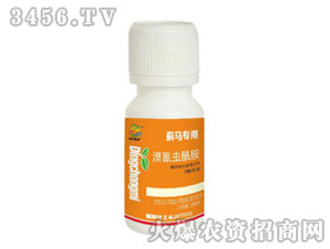 �����x��������-�E�R����-�������