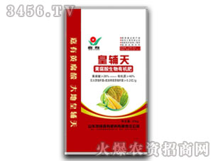 �S�������ЙC(j��)��-���o��-����